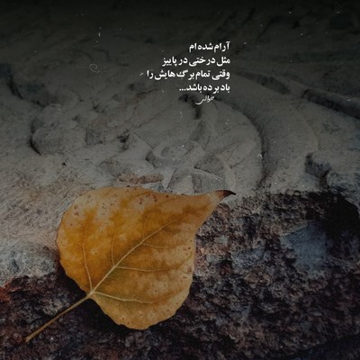 بیگ شگی روی لباته یه رژ مات