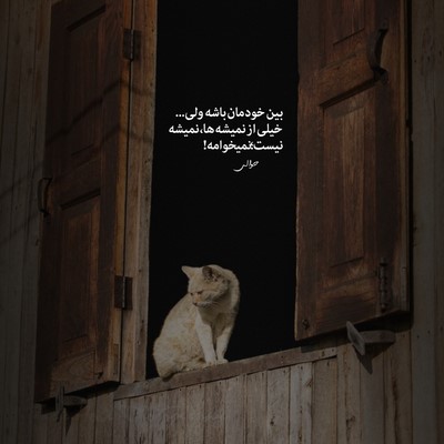بیگ شگی تا بهم مسیج دادی سین شد