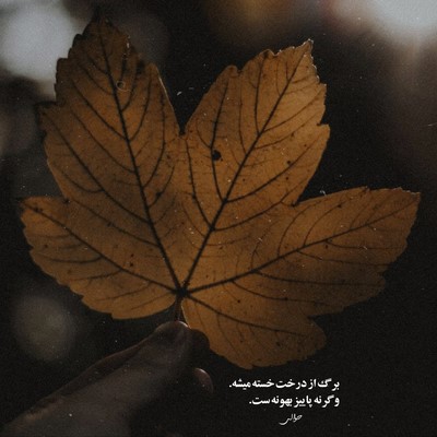 دانلود آهنگ ﺑﮕﻮ ﺑﻪ ﺑﺎﻧﺪ ﺑﺪن وﻟﻮم ﻛﻪ ﻣﻦ ﺑﻴﺎم ﻳﻪ رﻗﺺ ﻣﻠﻮ از تالک داون