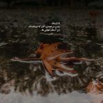 دانلود آهنگ دل نمیدونه عجب خطایی کرده با وجودی که همیشه پر درده از فتانه دانلود آهنگ دل نمیدونه عجب خطایی کرده با وجودی که همیشه پر درده از فتانه