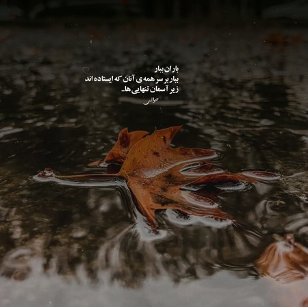 فتانه دل نمیدونه عجب خطایی کرده با وجودی که همیشه پر درده