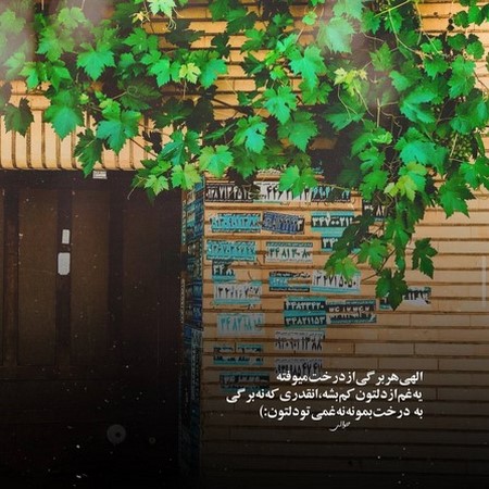 سجاد شاهی دوستام کشیدن زیرم بهم لبخند زدن